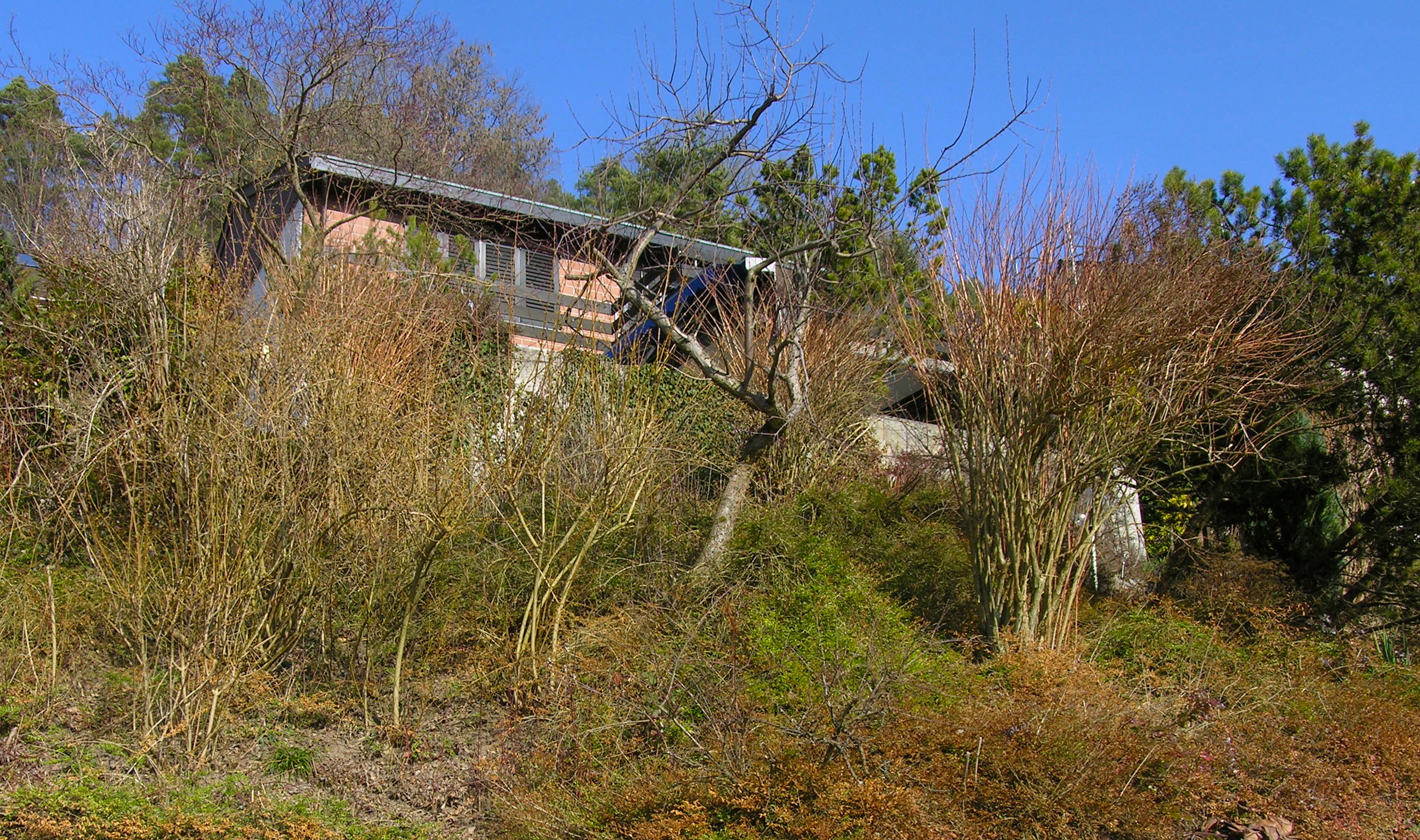 Einfamilienhaus